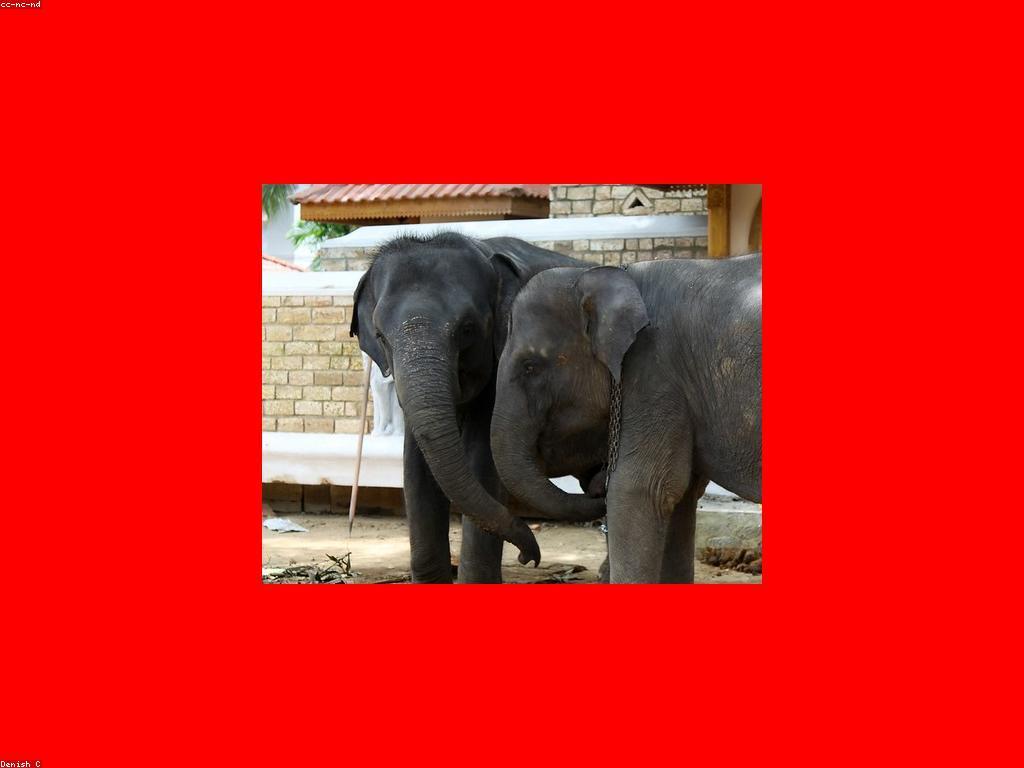 វិធីសាស្ត្រចាប់អារម្មណ៍ក្នុងការប្រើប្រាស់ការផ្សព្វផ្សាយ