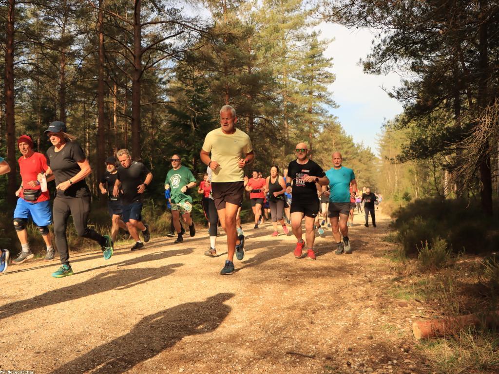 ការប្រកួតកីឡានៅក្នុងសង្គម