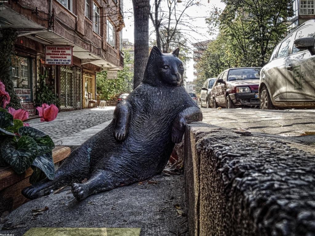 យុទ្ធសាស្ត្រចាប់អារម្មណ៍ដើម្បីបង្កើនការចាប់អារម្មណ៍របស់អ្នកប្រើប្រាស់