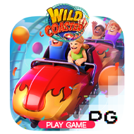 Wild Coaster